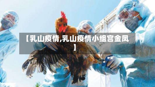 【乳山疫情,乳山疫情小组宫金凤】