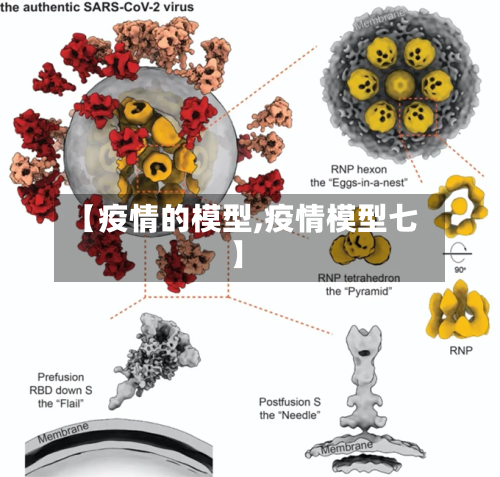 【疫情的模型,疫情模型七】