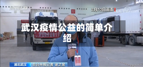 武汉疫情公益的简单介绍