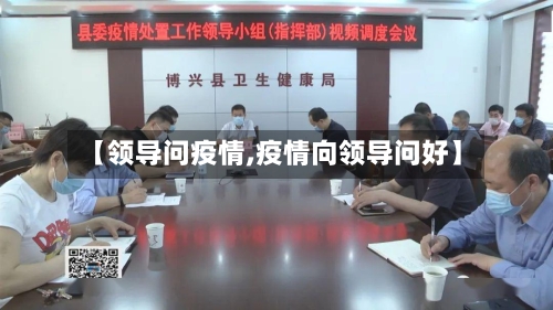 【领导问疫情,疫情向领导问好】
