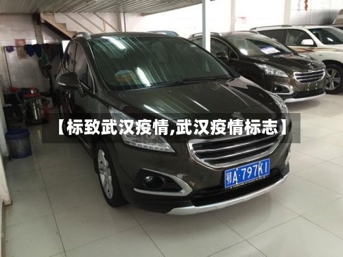 【标致武汉疫情,武汉疫情标志】