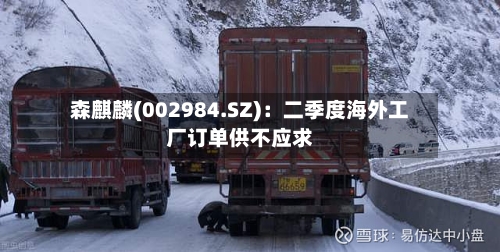 森麒麟(002984.SZ)：二季度海外工厂订单供不应求