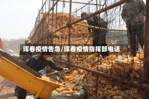 珲春疫情告急/珲春疫情指挥部电话