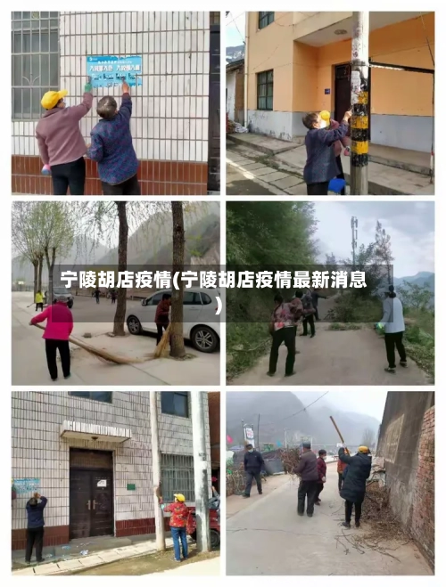 宁陵胡店疫情(宁陵胡店疫情最新消息)