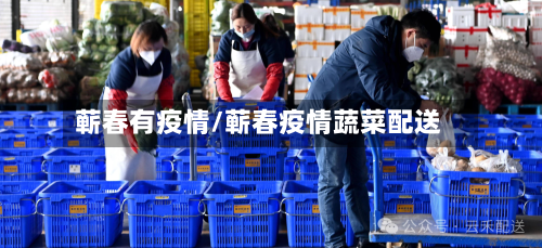 蕲春有疫情/蕲春疫情蔬菜配送