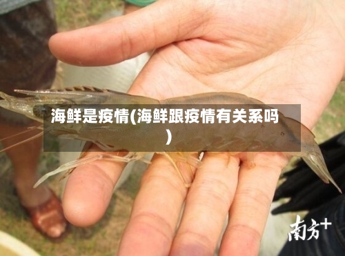 海鲜是疫情(海鲜跟疫情有关系吗)