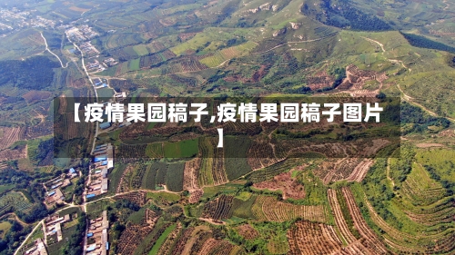 【疫情果园稿子,疫情果园稿子图片】