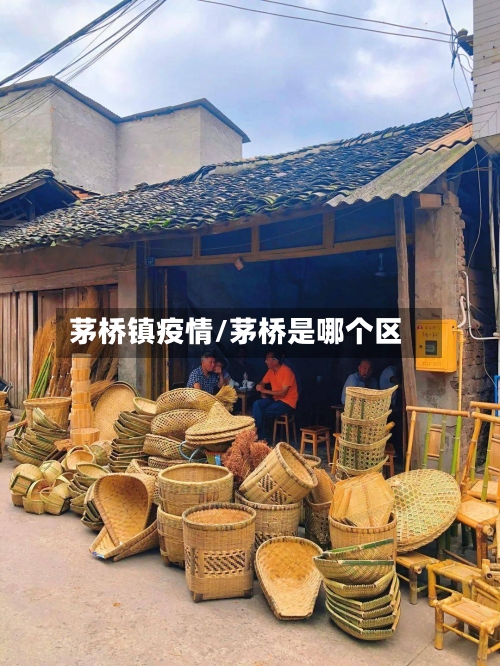 茅桥镇疫情/茅桥是哪个区