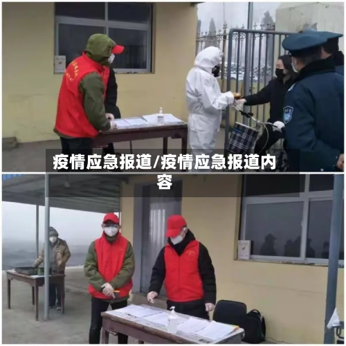 疫情应急报道/疫情应急报道内容