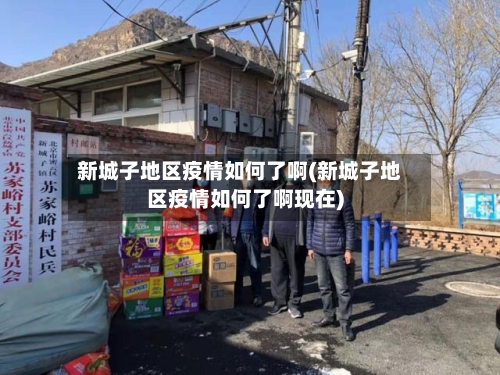 新城子地区疫情如何了啊(新城子地区疫情如何了啊现在)