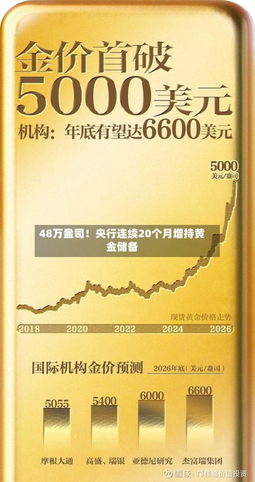 48万盎司!央行连续20个月增持黄金储备-第1张图片