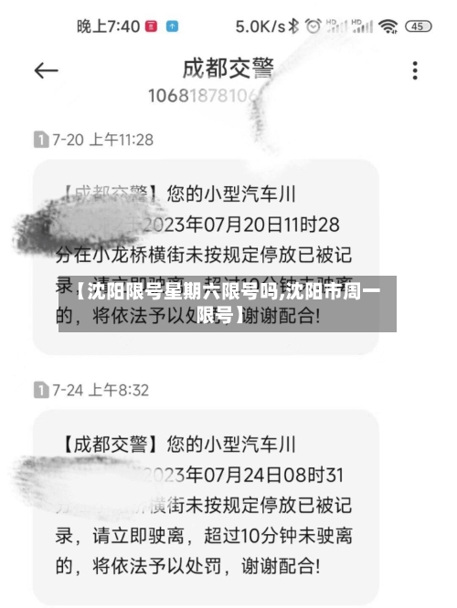 【沈阳限号星期六限号吗,沈阳市周一限号】