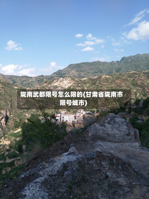 陇南武都限号怎么限的(甘肃省陇南市限号城市)
