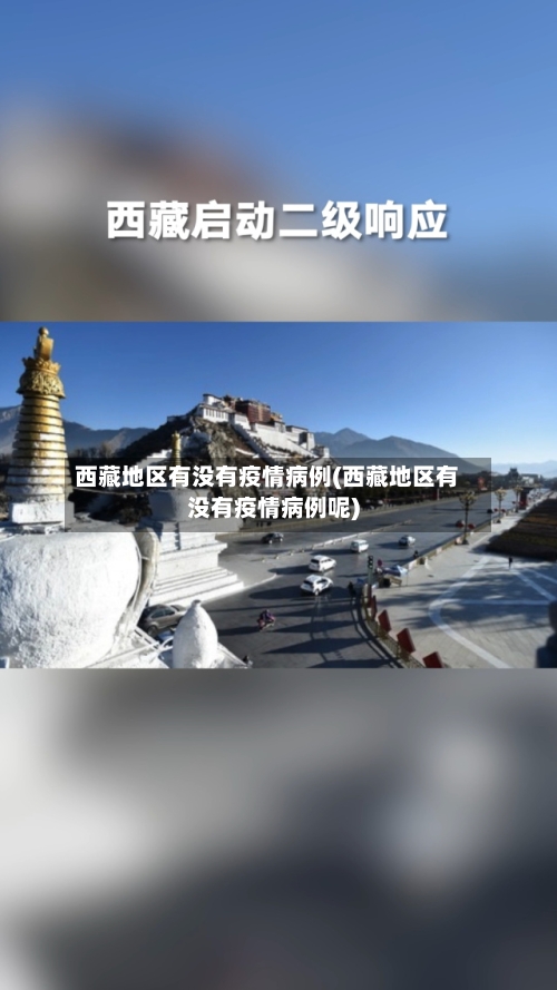西藏地区有没有疫情病例(西藏地区有没有疫情病例呢)