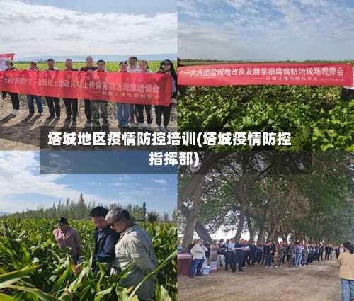 塔城地区疫情防控培训(塔城疫情防控指挥部)
