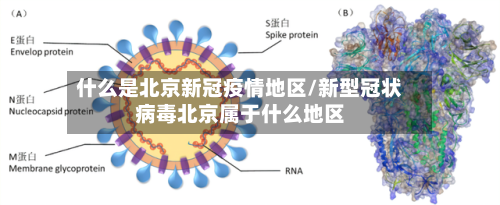 什么是北京新冠疫情地区/新型冠状病毒北京属于什么地区