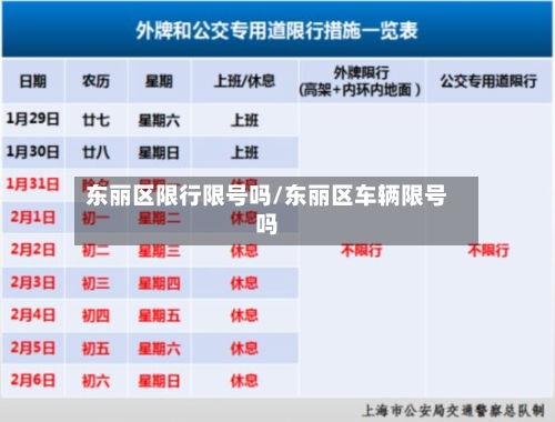 东丽区限行限号吗/东丽区车辆限号吗