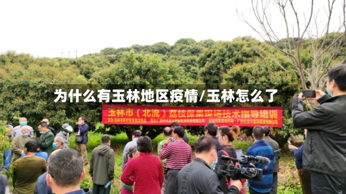 为什么有玉林地区疫情/玉林怎么了