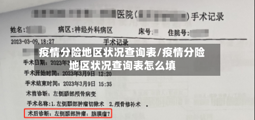 疫情分险地区状况查询表/疫情分险地区状况查询表怎么填