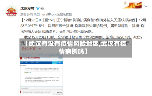 【武汉有没有疫情风险地区,武汉有疫情病例吗】