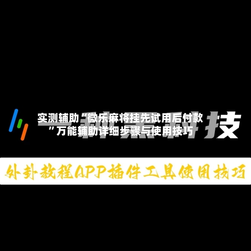 实测辅助“微乐麻将挂先试用后付款”万能辅助详细步骤与使用技巧