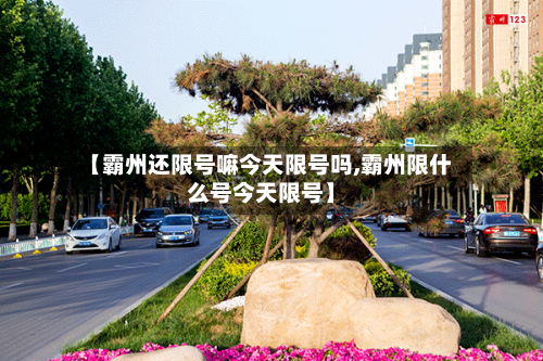 【霸州还限号嘛今天限号吗,霸州限什么号今天限号】