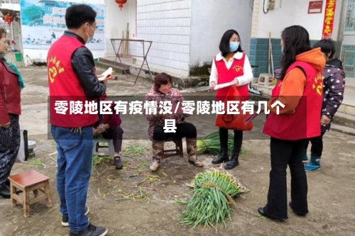 零陵地区有疫情没/零陵地区有几个县