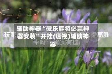 辅助神器“微乐麻将必赢神器安装”开挂(透视)辅助神器
