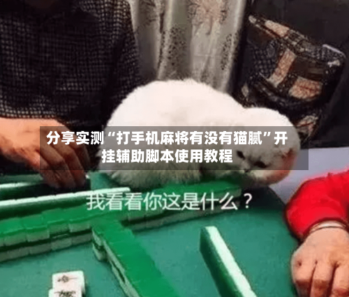 分享实测“打手机麻将有没有猫腻”开挂辅助脚本使用教程