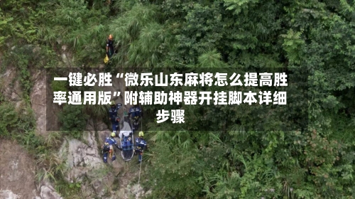 一键必胜“微乐山东麻将怎么提高胜率通用版”附辅助神器开挂脚本详细步骤