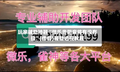 玩家辅助神器“微乐贵阳麻将有没有挂”(作弊)辅助透视教程