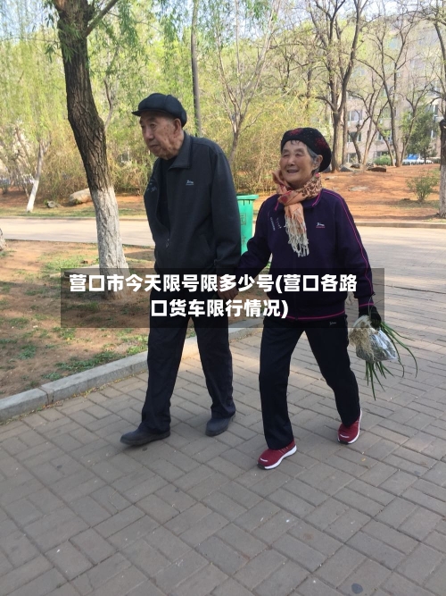 营口市今天限号限多少号(营口各路口货车限行情况)