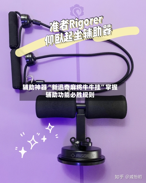 辅助神器“新迅奇麻将牛牛挂”掌握辅助功能必胜规则