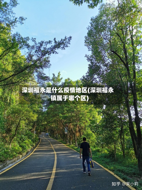 深圳福永是什么疫情地区(深圳福永镇属于哪个区)