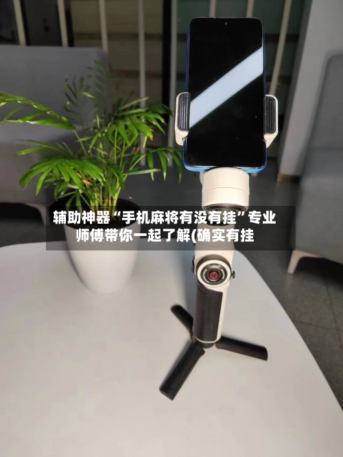 辅助神器“手机麻将有没有挂”专业师傅带你一起了解(确实有挂