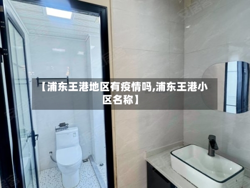 【浦东王港地区有疫情吗,浦东王港小区名称】