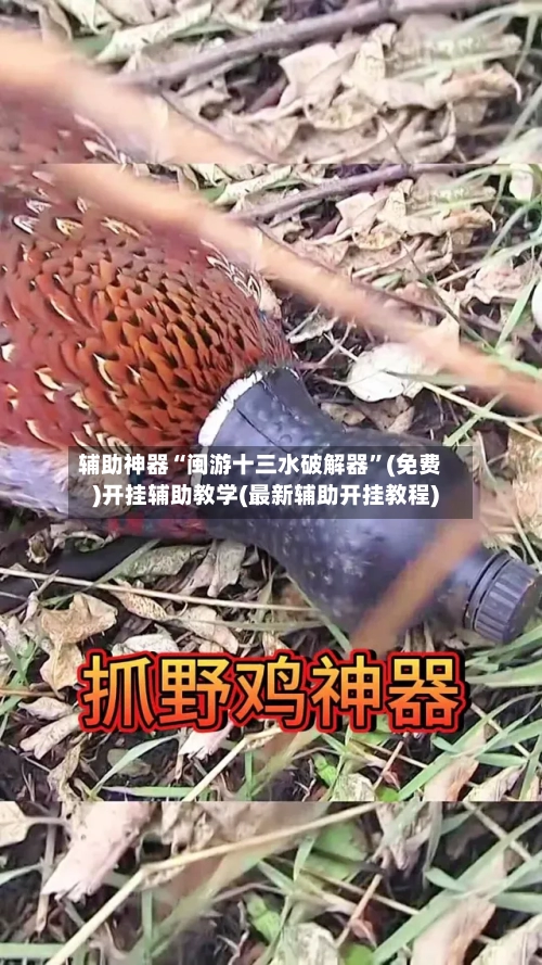 辅助神器“闽游十三水破解器”(免费)开挂辅助教学(最新辅助开挂教程)