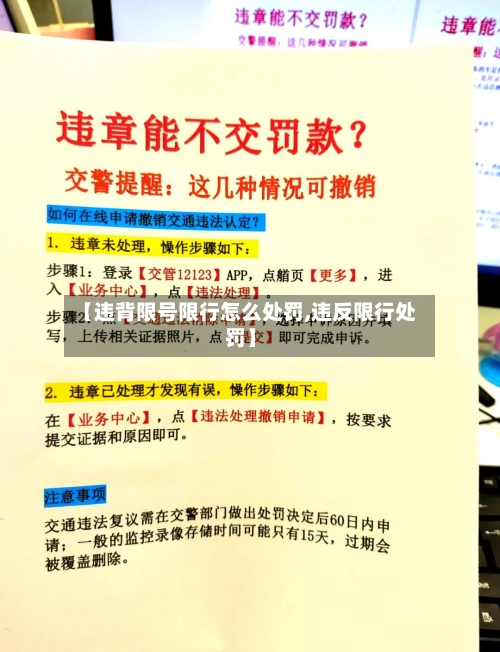 【违背限号限行怎么处罚,违反限行处罚】