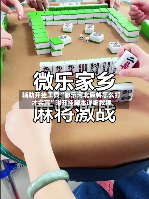 辅助开挂工具“微乐河北麻将怎么打才会赢”附开挂脚本详细教程