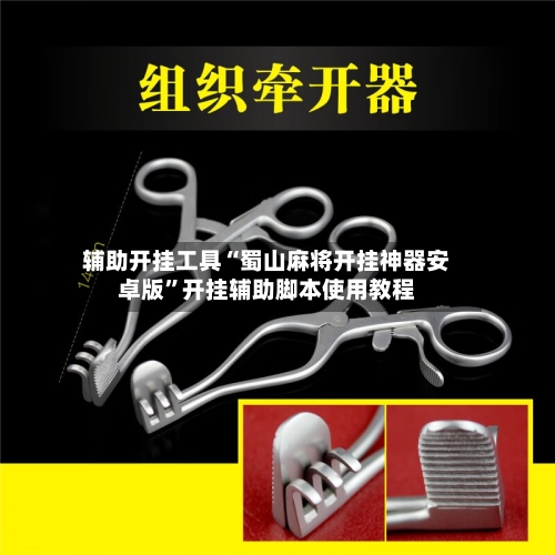 辅助开挂工具“蜀山麻将开挂神器安卓版”开挂辅助脚本使用教程
