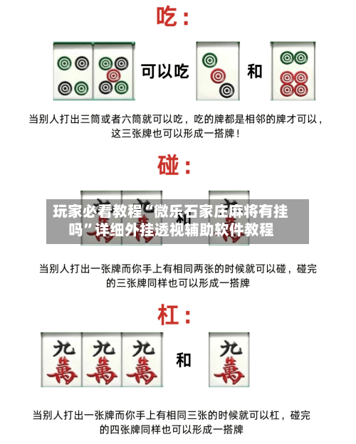玩家必看教程“微乐石家庄麻将有挂吗”详细外挂透视辅助软件教程