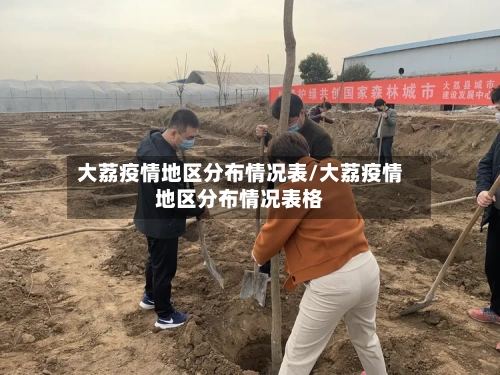 大荔疫情地区分布情况表/大荔疫情地区分布情况表格