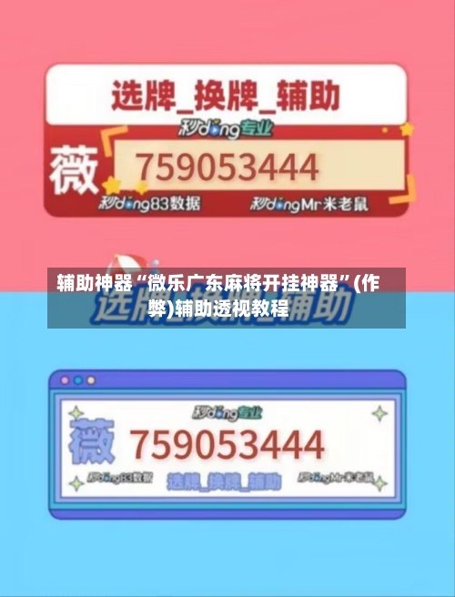 辅助神器“微乐广东麻将开挂神器”(作弊)辅助透视教程