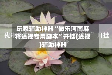 玩家辅助神器“微乐河南麻将透视专用脚本”开挂(透视)辅助神器