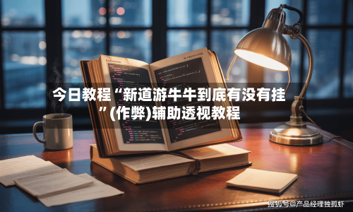 今日教程“新道游牛牛到底有没有挂”(作弊)辅助透视教程