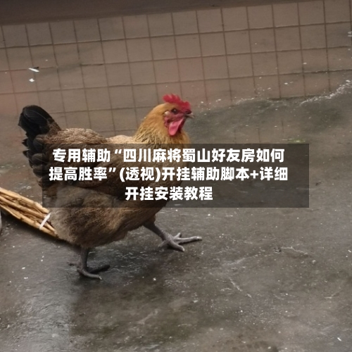 专用辅助“四川麻将蜀山好友房如何提高胜率”(透视)开挂辅助脚本+详细开挂安装教程