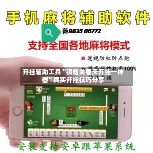 开挂辅助工具“镇雄关春天开挂一神器”真实开挂技巧分享