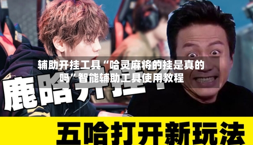 辅助开挂工具“哈灵麻将的挂是真的吗”智能辅助工具使用教程