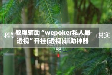 教程辅助“wepoker私人局透视”开挂(透视)辅助神器