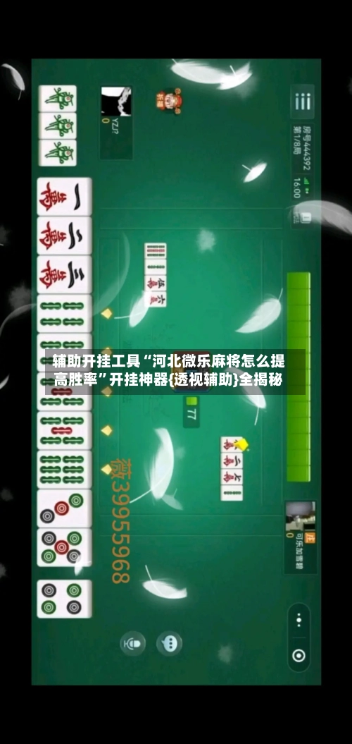 辅助开挂工具“河北微乐麻将怎么提高胜率”开挂神器{透视辅助}全揭秘